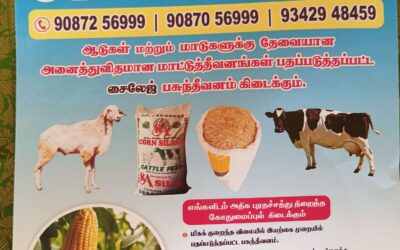 Ruchi Animal Feeds & Silage +91 9087256999