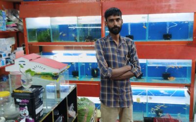 Pet Paradise +91 6383448021