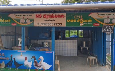 N.S Broiler +91 6379393331